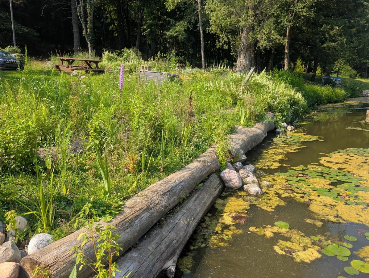 Log Revetment with Native Buffer-Lake Redstone